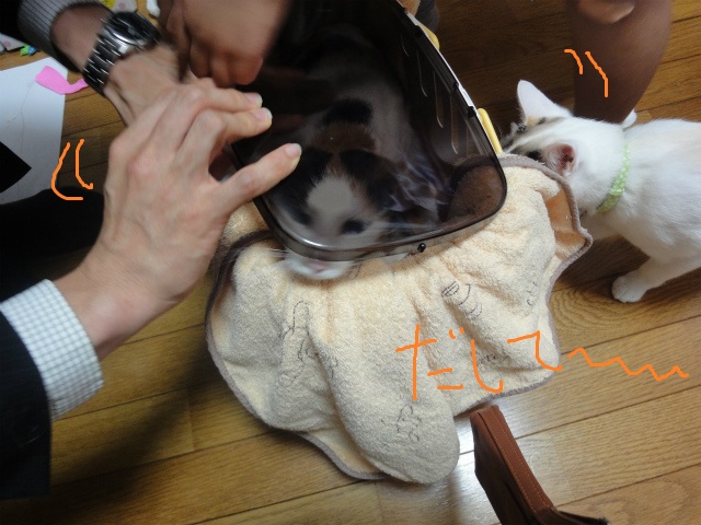 f:id:gosaku13:20120514185329j:image