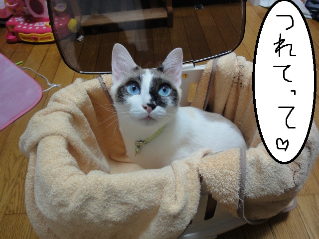 f:id:gosaku13:20120514185332j:image