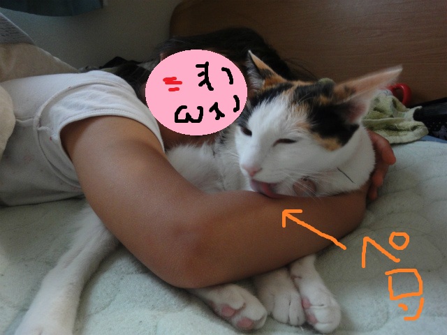 f:id:gosaku13:20120520200400j:image