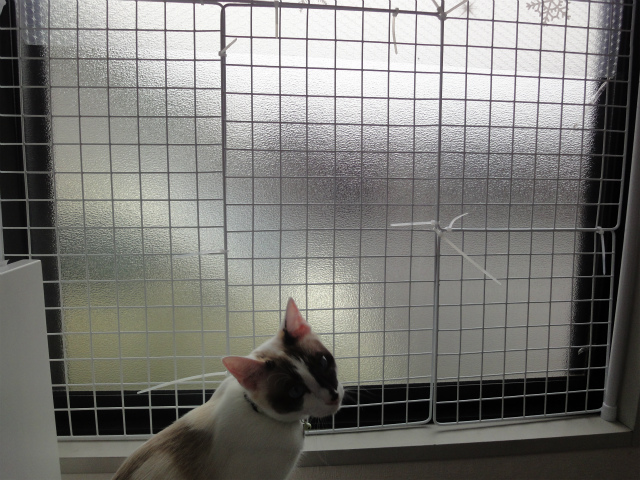 f:id:gosaku13:20120525132956j:image