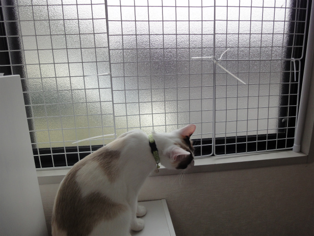 f:id:gosaku13:20120525132957j:image