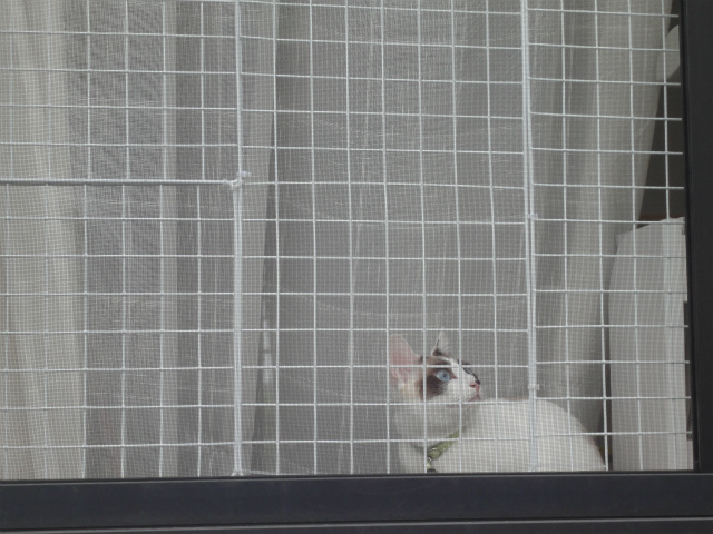 f:id:gosaku13:20120525133037j:image