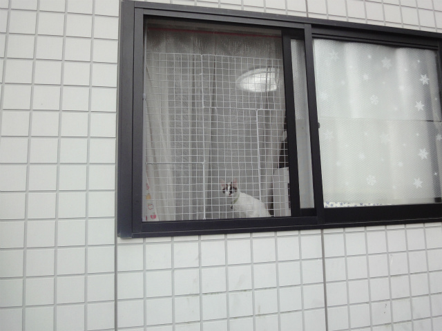 f:id:gosaku13:20120525133038j:image