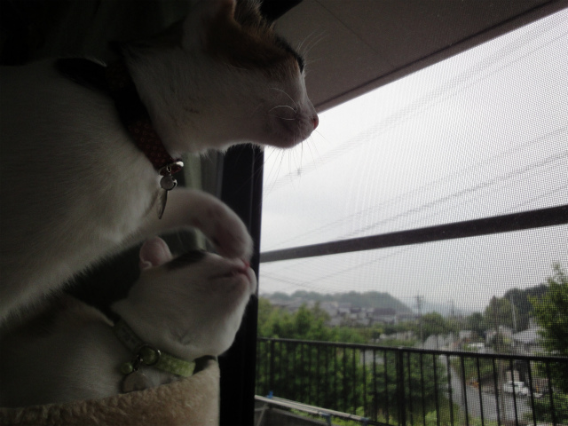 f:id:gosaku13:20120526150759j:image