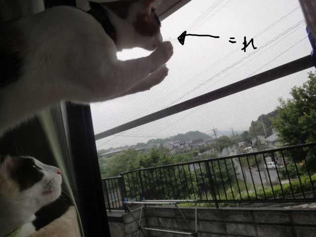 f:id:gosaku13:20120526150800j:image