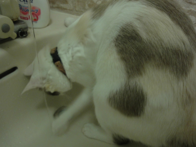 f:id:gosaku13:20121001144729j:image