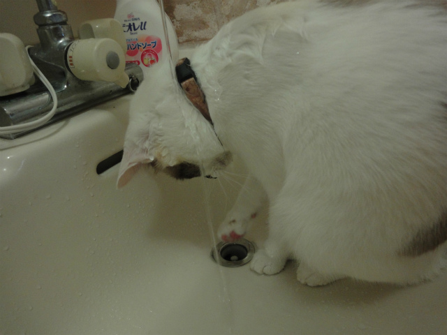 f:id:gosaku13:20121001144730j:image