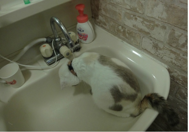 f:id:gosaku13:20121001144731j:image