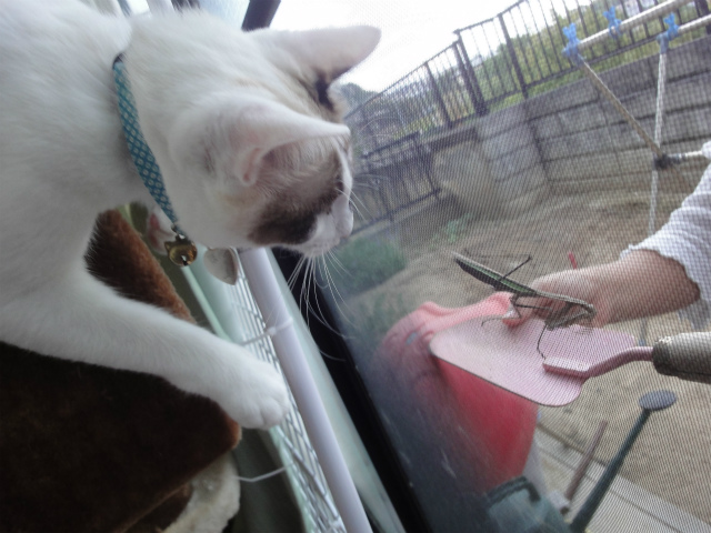 f:id:gosaku13:20121026111648j:image