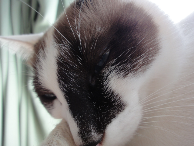 f:id:gosaku13:20130208185442j:image