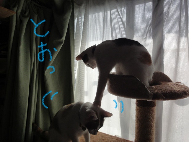 f:id:gosaku13:20130224183246j:image