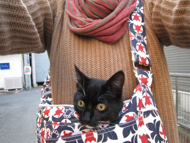 f:id:gosaku13:20130225192204j:image