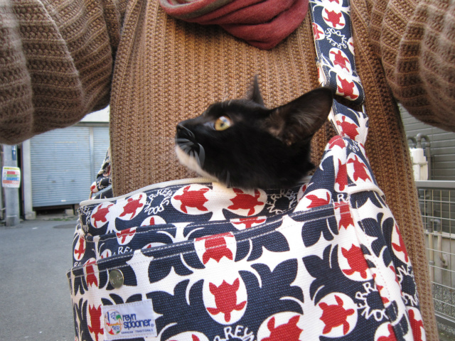 f:id:gosaku13:20130225192205j:image