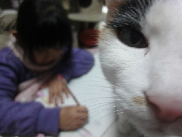 f:id:gosaku13:20130226213012j:image