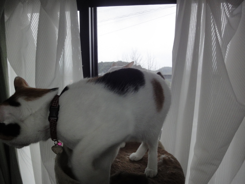 f:id:gosaku13:20130301165455j:image