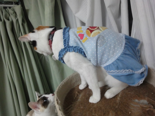 f:id:gosaku13:20130314161016j:image