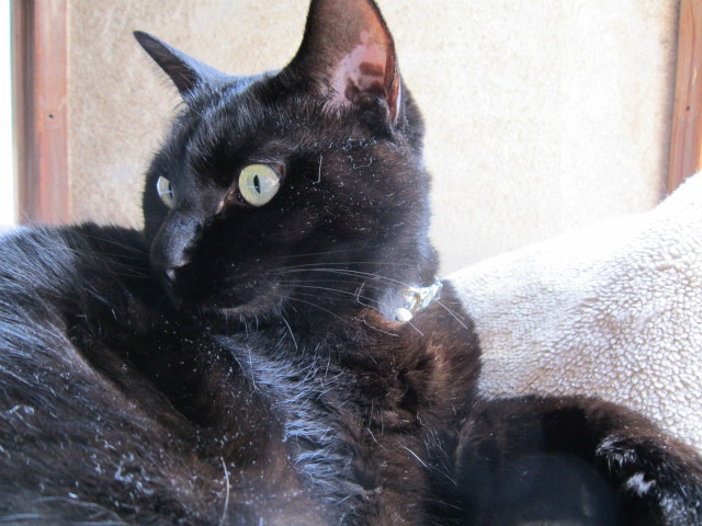 f:id:gosaku13:20130324212059j:image