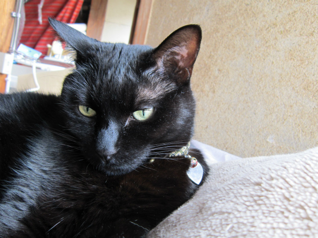 f:id:gosaku13:20130324212100j:image