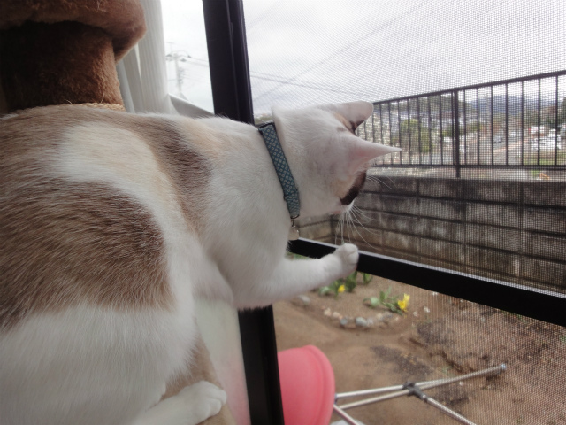 f:id:gosaku13:20130325142632j:image