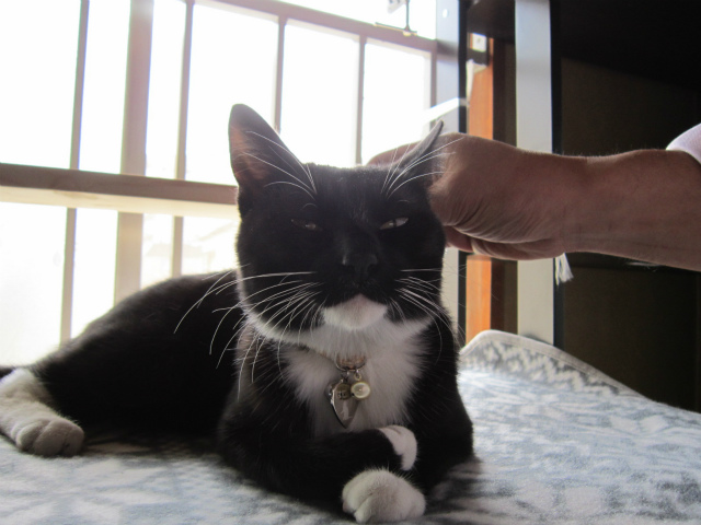 f:id:gosaku13:20130327203627j:image