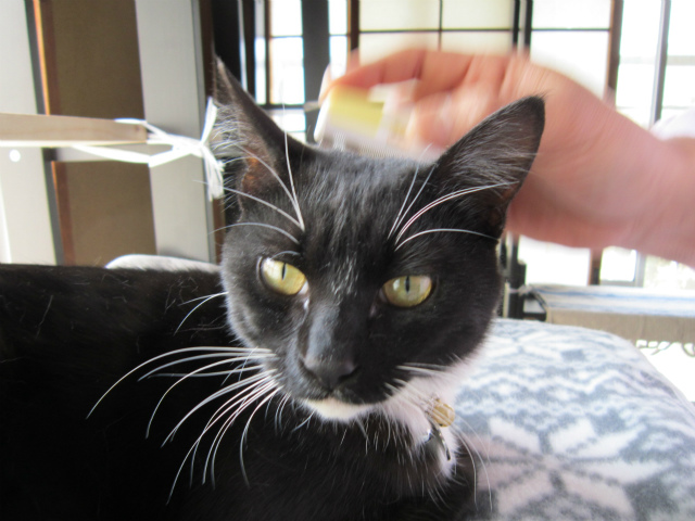 f:id:gosaku13:20130327203629j:image