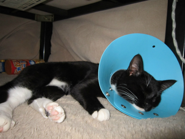 f:id:gosaku13:20130330121804j:image