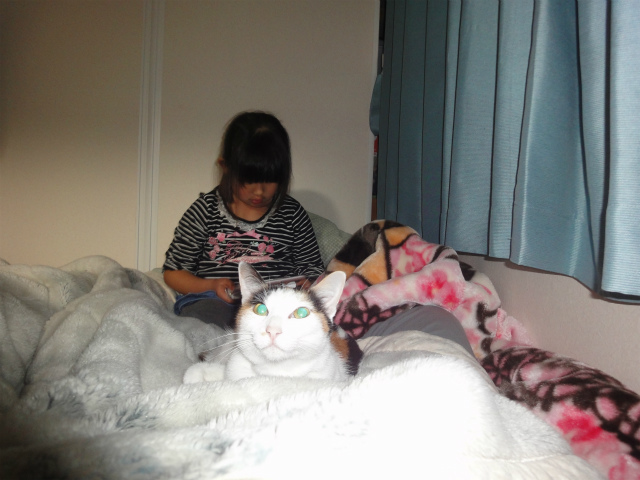 f:id:gosaku13:20130403100329j:image