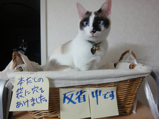 f:id:gosaku13:20130407200734j:image