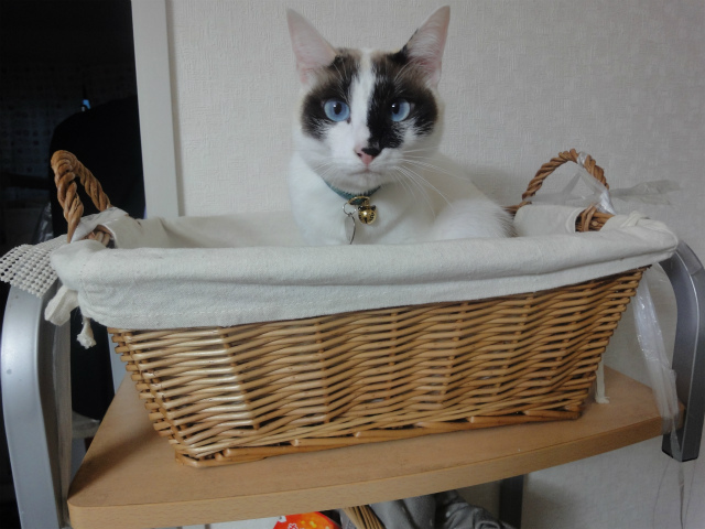 f:id:gosaku13:20130407200739j:image