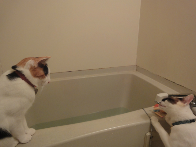 f:id:gosaku13:20130410125116j:image