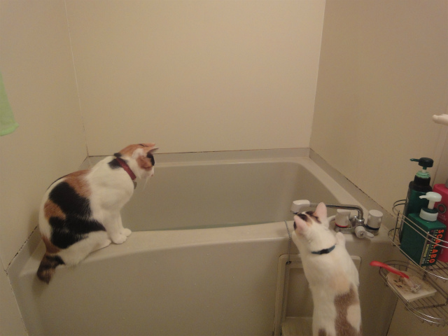 f:id:gosaku13:20130410125118j:image