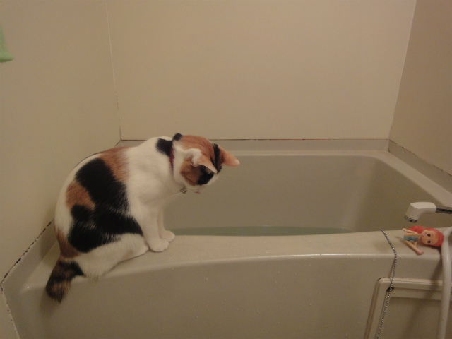 f:id:gosaku13:20130410125119j:image