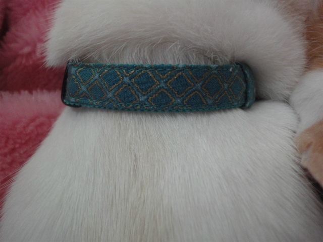 f:id:gosaku13:20130411115148j:image