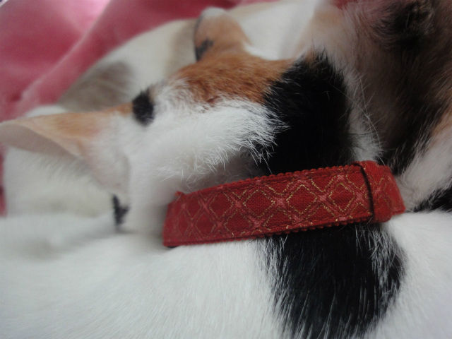 f:id:gosaku13:20130411115149j:image