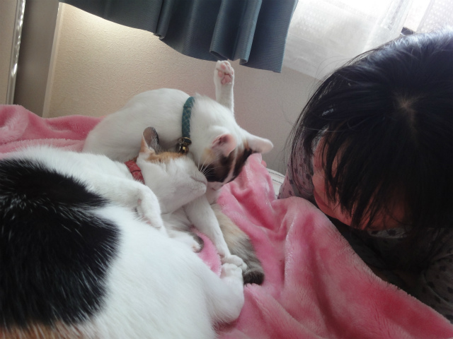 f:id:gosaku13:20130424175442j:image