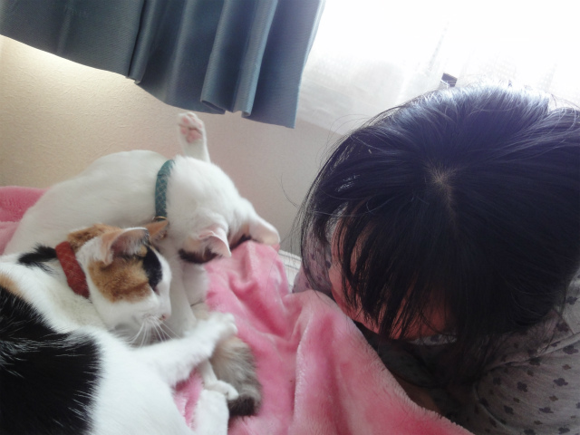 f:id:gosaku13:20130424175443j:image