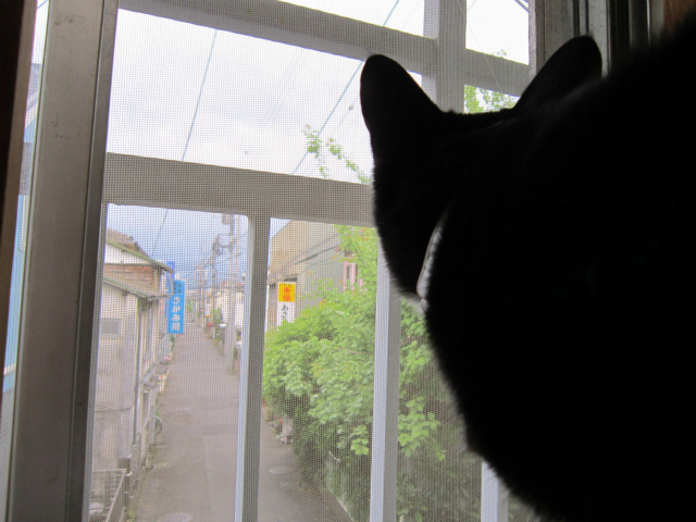 f:id:gosaku13:20130426105419j:image