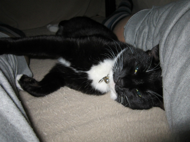 f:id:gosaku13:20130426105517j:image