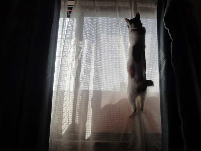 f:id:gosaku13:20130427101922j:image