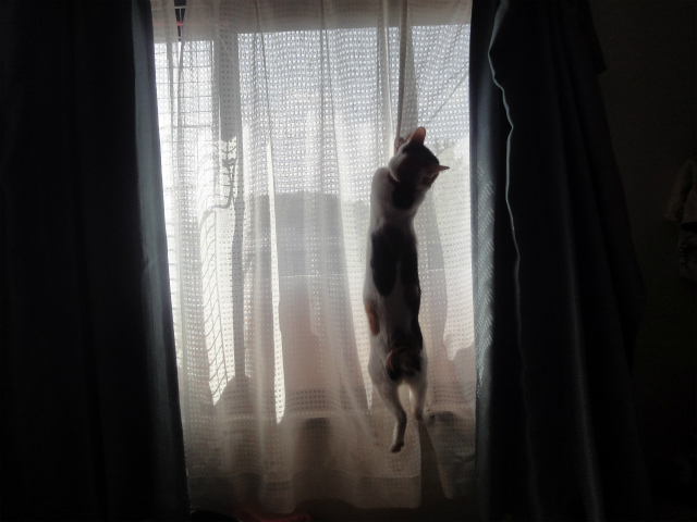 f:id:gosaku13:20130427101924j:image