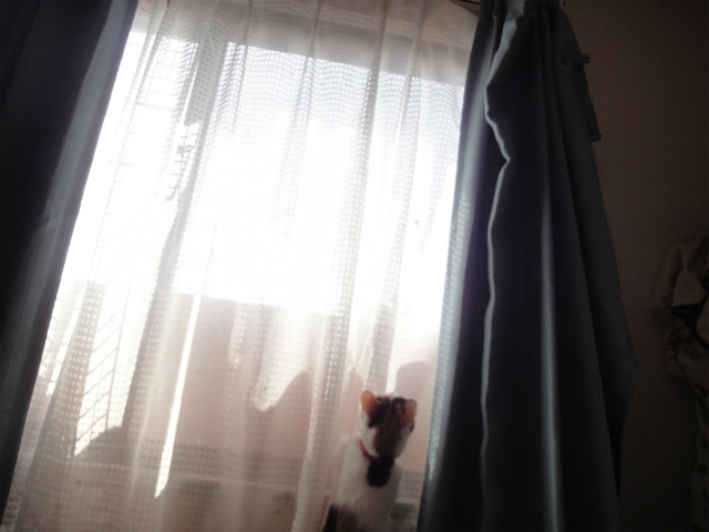 f:id:gosaku13:20130427101925j:image