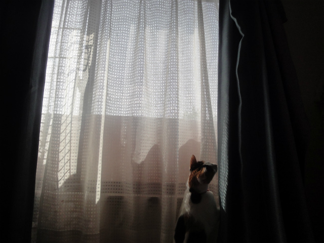 f:id:gosaku13:20130427101926j:image