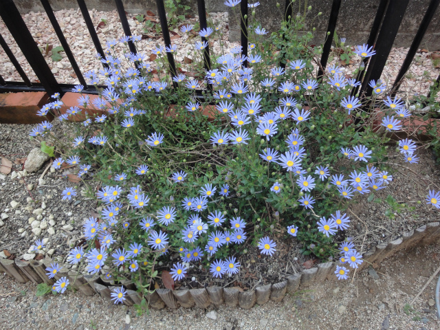 f:id:gosaku13:20130427102156j:image