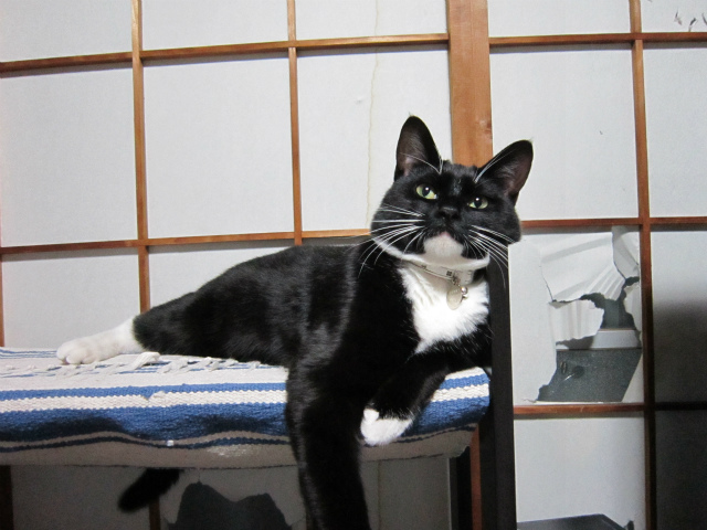 f:id:gosaku13:20130602102559j:image