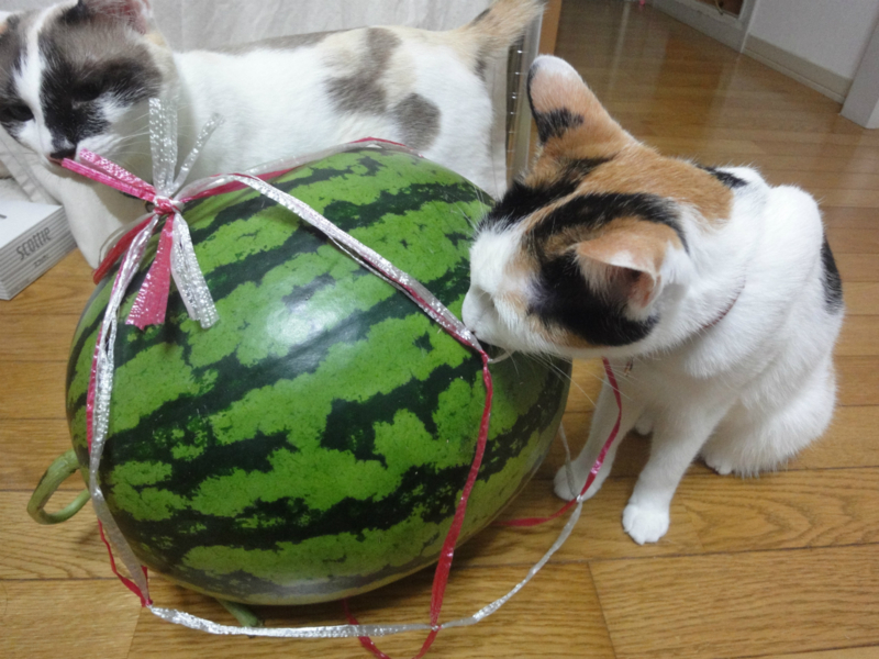 f:id:gosaku13:20130615140808j:image