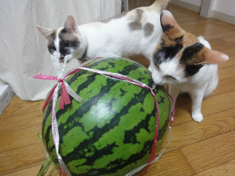 f:id:gosaku13:20130615140810j:image