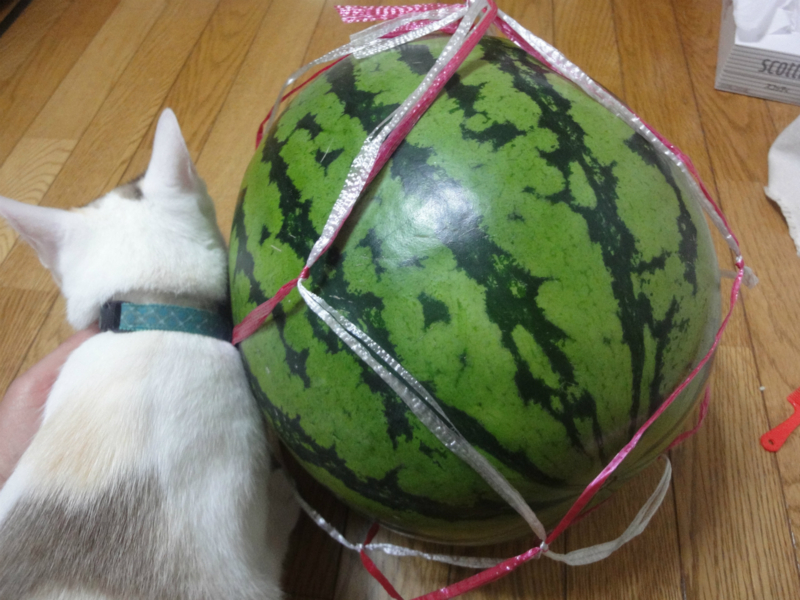 f:id:gosaku13:20130615140812j:image