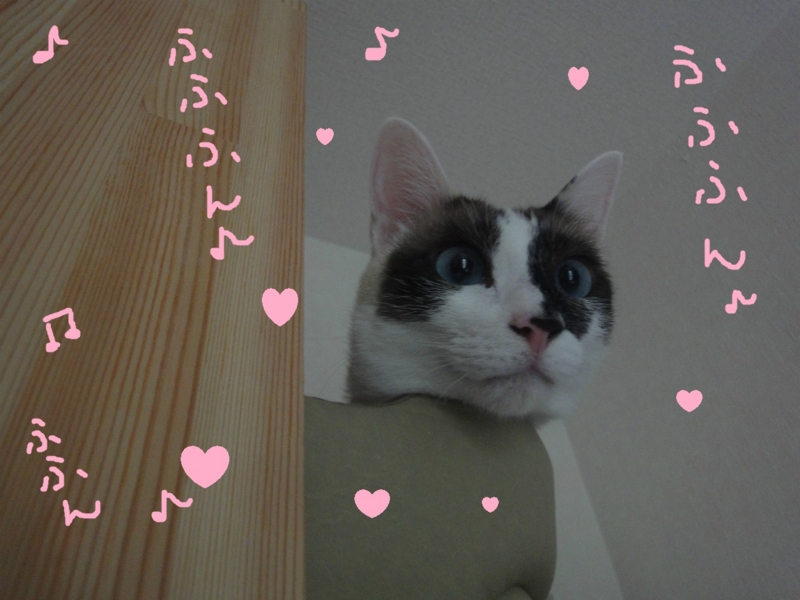 f:id:gosaku13:20130627135435j:image