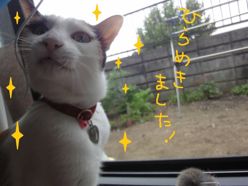 f:id:gosaku13:20130627135438j:image