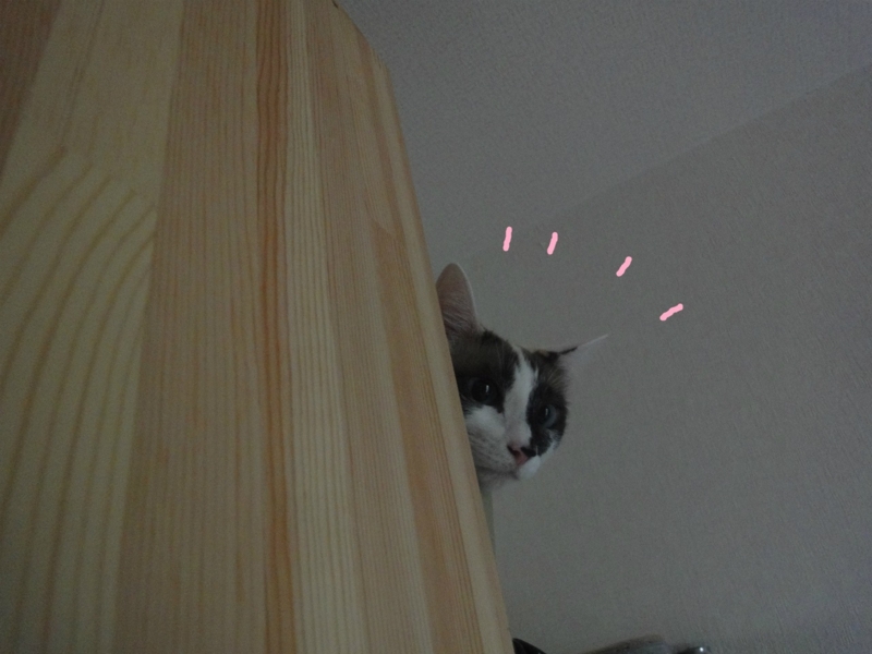 f:id:gosaku13:20130627135440j:image